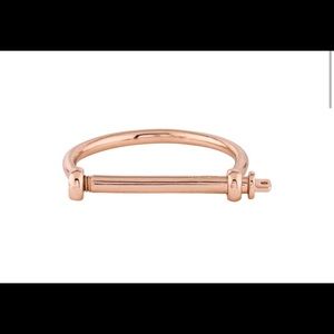 Miansai screw cuff rose gold unisex